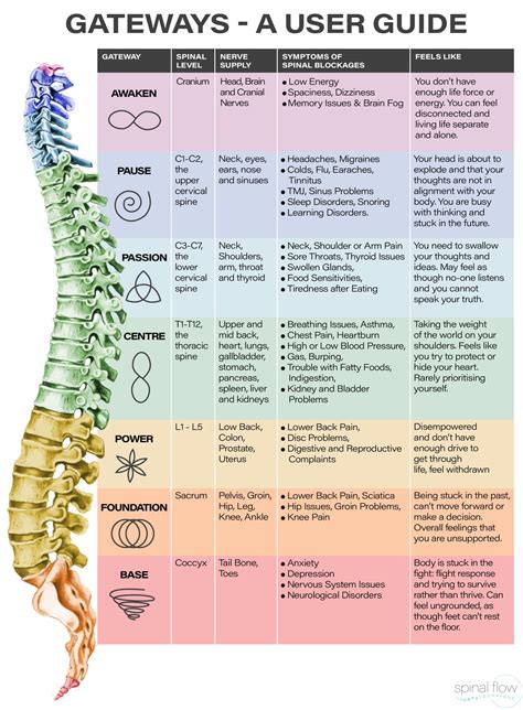 Spinal energetics. Things To Know About Spinal energetics. 
